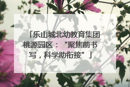 乐山城北幼教育集团桃源园区：“聚焦前书写，科学助衔接”