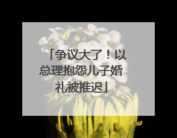 争议大了！以总理抱怨儿子婚礼被推迟