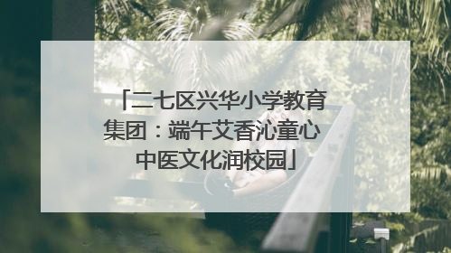 二七区兴华小学教育集团：端午艾香沁童心 中医文化润校园