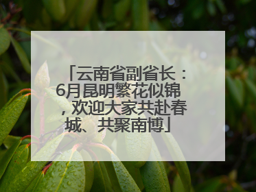 云南省副省长：6月昆明繁花似锦，欢迎大家共赴春城、共聚南博