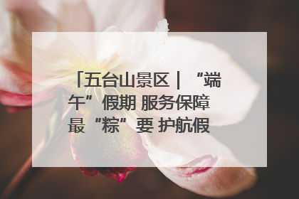 五台山景区｜“端午”假期 服务保障最“粽”要 护航假期“不打烊”