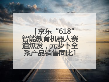 京东“618”智能教育机器人赛道爆发，元萝卜全系产品销售同比171%成黑马
