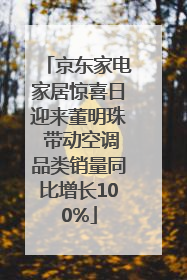 京东家电家居惊喜日迎来董明珠 带动空调品类销量同比增长100%