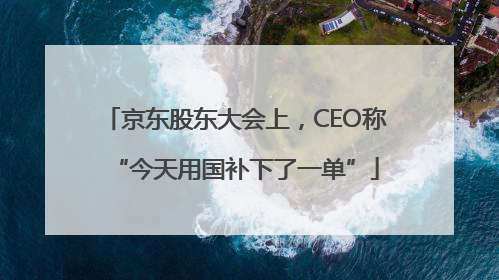 京东股东大会上，CEO称“今天用国补下了一单”