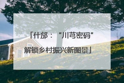 什邡：“川芎密码”解锁乡村振兴新图景