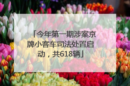 今年第一期涉案京牌小客车司法处置启动，共618辆