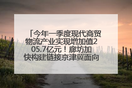 今年一季度现代商贸物流产业实现增加值205.7亿元！廊坊加快构建链接京津冀面向全世界的物流通道