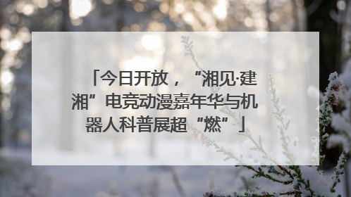 今日开放，“湘见·建湘”电竞动漫嘉年华与机器人科普展超“燃”