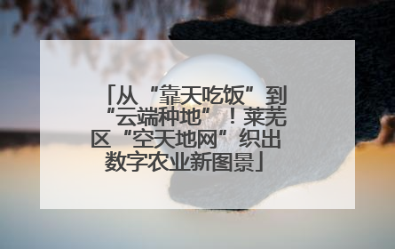 从“靠天吃饭”到“云端种地”！莱芜区“空天地网”织出数字农业新图景