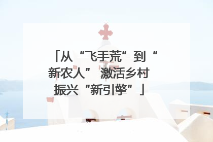 从“飞手荒”到“新农人” 激活乡村振兴“新引擎”