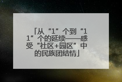 从“1”个到“11”个的延续——感受“社区+园区”中的民族团结情