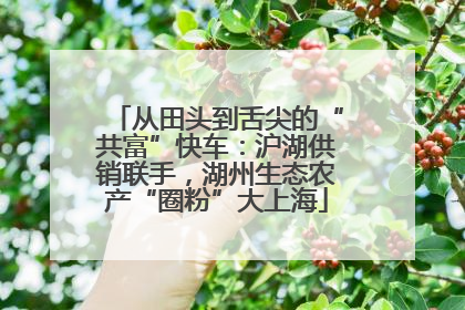 从田头到舌尖的“共富”快车：沪湖供销联手，湖州生态农产“圈粉”大上海