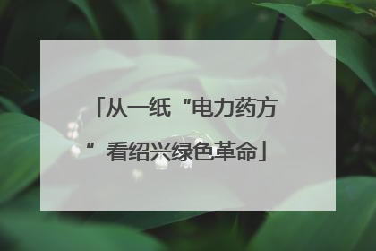 从一纸“电力药方”看绍兴绿色革命