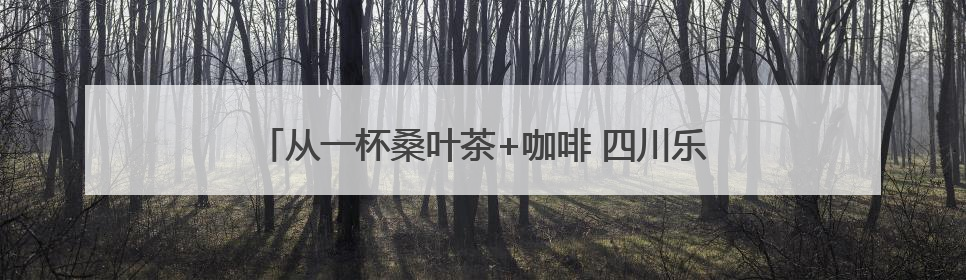 从一杯桑叶茶+咖啡 四川乐至如何端出助企发展的诚意