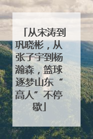 从宋涛到巩晓彬，从张子宇到杨瀚森，篮球逐梦山东“高人”不停歇