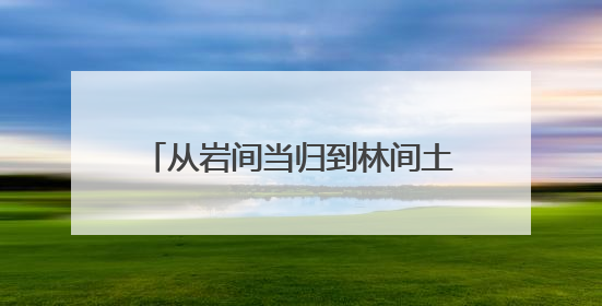 从岩间当归到林间土鸡，解码思茅大芦山美食的“自然哲学”