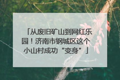 从废旧矿山到网红乐园！济南市钢城区这个小山村成功“变身”