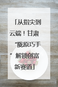 从指尖到云端！甘肃“陇原巧手”解锁创富新赛道