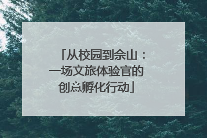 从校园到佘山：一场文旅体验官的创意孵化行动