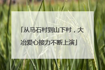 从马石村到山下村，大冶爱心接力不断上演