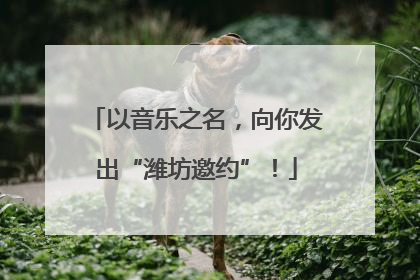 以音乐之名，向你发出“潍坊邀约”！