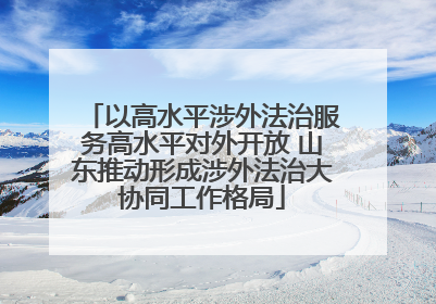 以高水平涉外法治服务高水平对外开放 山东推动形成涉外法治大协同工作格局