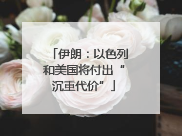 伊朗：以色列和美国将付出“沉重代价”