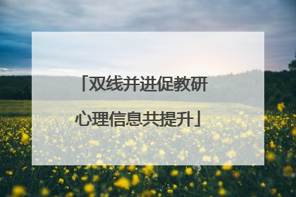 双线并进促教研 心理信息共提升