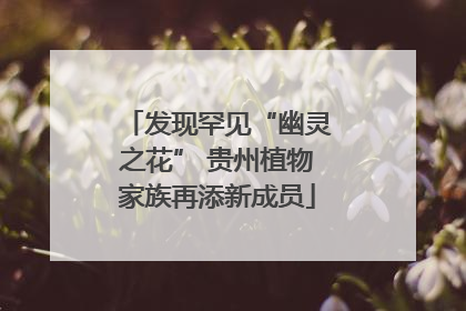 发现罕见“幽灵之花” 贵州植物家族再添新成员