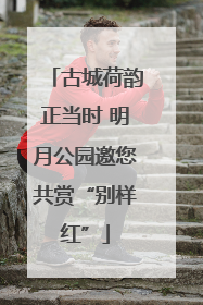 古城荷韵正当时 明月公园邀您共赏“别样红”