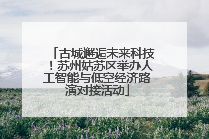 古城邂逅未来科技！苏州姑苏区举办人工智能与低空经济路演对接活动