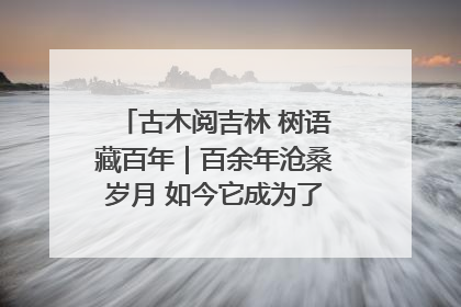 古木阅吉林 树语藏百年｜百余年沧桑岁月 如今它成为了“镇园之宝”