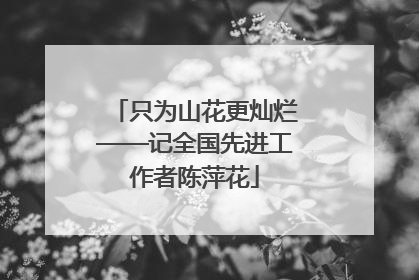 只为山花更灿烂——记全国先进工作者陈萍花
