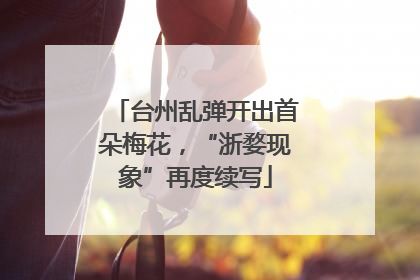 台州乱弹开出首朵梅花，“浙婺现象”再度续写