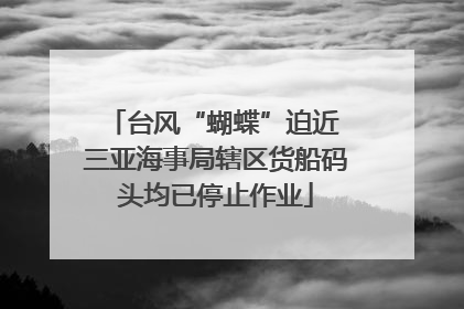 台风“蝴蝶”迫近 三亚海事局辖区货船码头均已停止作业