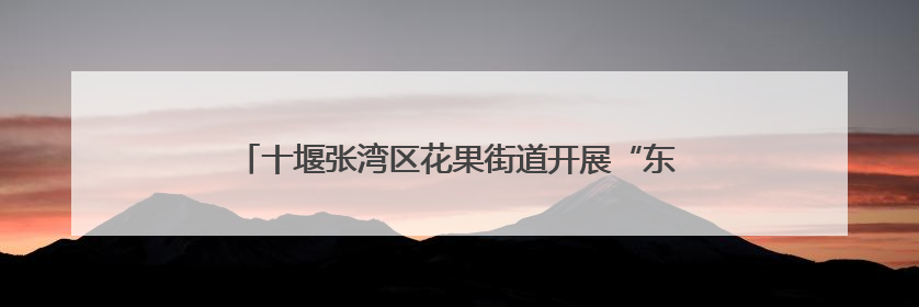 十堰张湾区花果街道开展“东风故里育新风”品牌宣讲活动