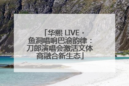 华熙 LIVE・鱼洞唱响巴渝韵律：刀郎演唱会激活文体商融合新生态