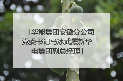 华能集团安徽分公司党委书记马冰武履新华电集团副总经理