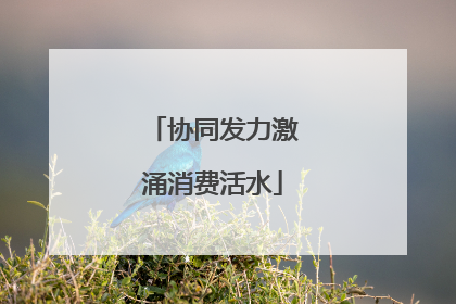 协同发力激涌消费活水