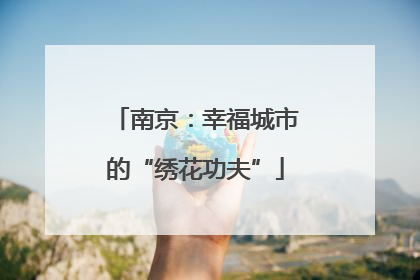 南京：幸福城市的“绣花功夫”