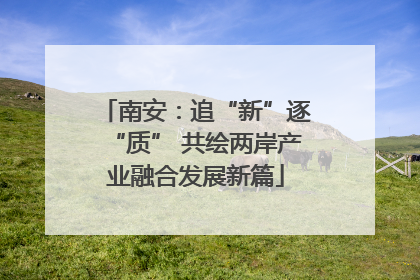 南安：追“新”逐“质” 共绘两岸产业融合发展新篇