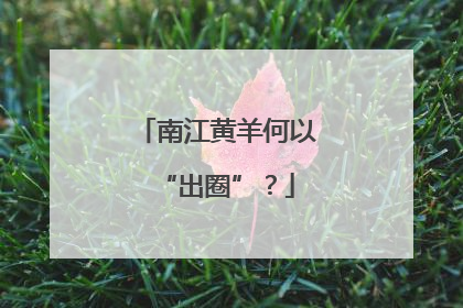 南江黄羊何以“出圈”？