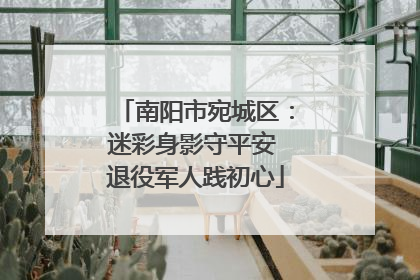 南阳市宛城区：迷彩身影守平安 退役军人践初心