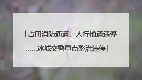 占用消防通道、人行横道违停……冰城交警重点整治违停