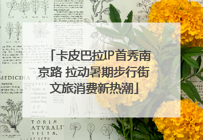 卡皮巴拉IP首秀南京路 拉动暑期步行街文旅消费新热潮