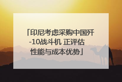 印尼考虑采购中国歼-10战斗机 正评估性能与成本优势