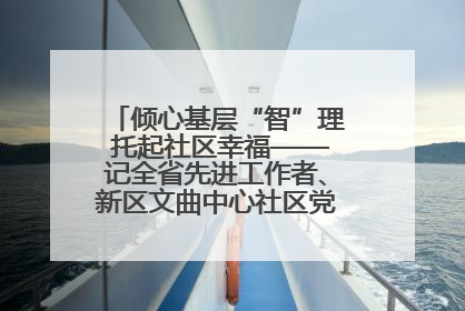 倾心基层“智”理 托起社区幸福——记全省先进工作者、新区文曲中心社区党委书记董世弘