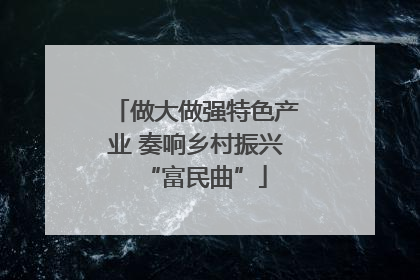做大做强特色产业 奏响乡村振兴“富民曲”