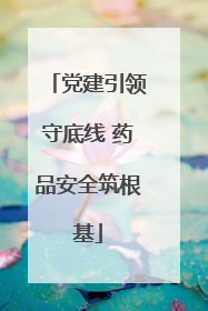 党建引领守底线 药品安全筑根基