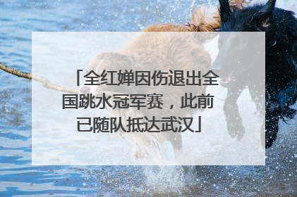全红婵因伤退出全国跳水冠军赛，此前已随队抵达武汉